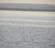 DSCN0608