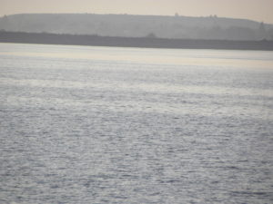 DSCN0608