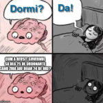 dormi